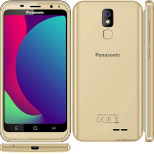 Panasonic P100