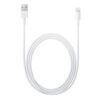 Apple Cable USB vers Lightning 1M