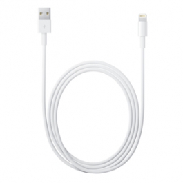 Apple Cable USB vers Lightning 1M