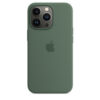 Coque en silicone avec MagSafe pour iPhone 13 Pro - Eucalyptus